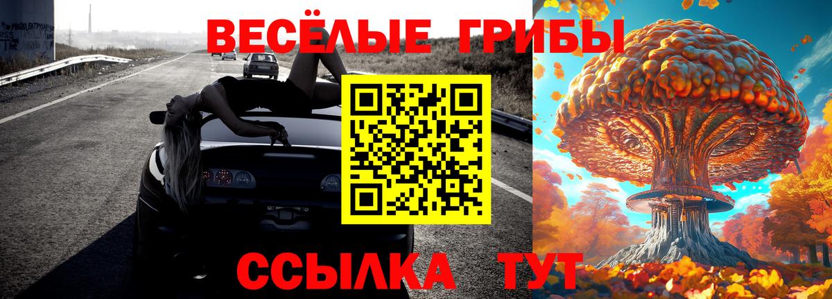 Псилоцибиновые грибы Psilocybe Нурлат